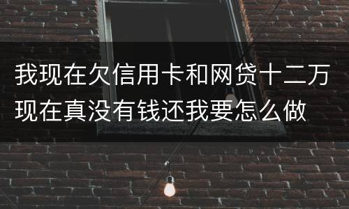 我现在欠信用卡和网贷十二万现在真没有钱还我要怎么做