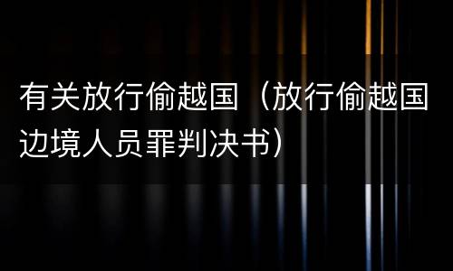 有关放行偷越国（放行偷越国边境人员罪判决书）