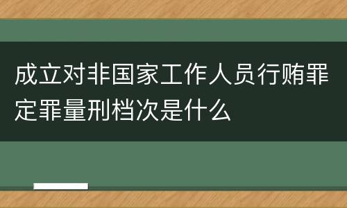 成立对非国家工作人员行贿罪定罪量刑档次是什么
