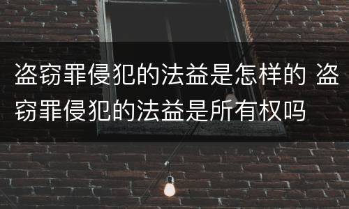 盗窃罪侵犯的法益是怎样的 盗窃罪侵犯的法益是所有权吗