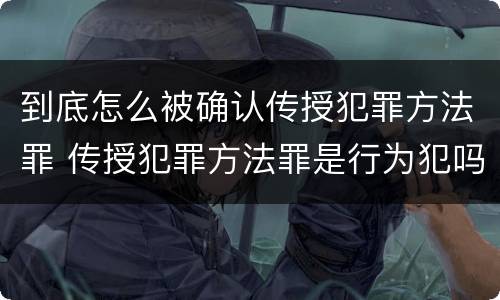 到底怎么被确认传授犯罪方法罪 传授犯罪方法罪是行为犯吗