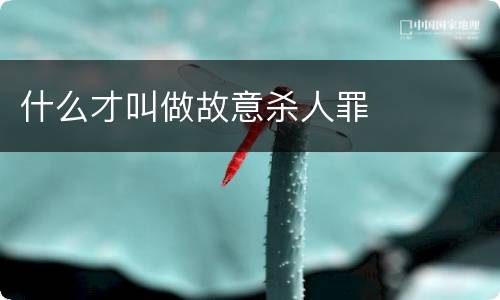 什么才叫做故意杀人罪