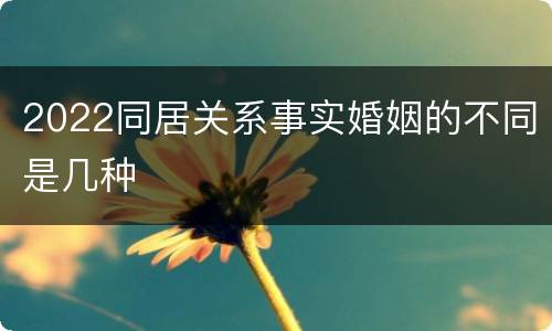 2022同居关系事实婚姻的不同是几种