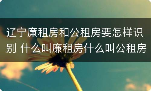 辽宁廉租房和公租房要怎样识别 什么叫廉租房什么叫公租房