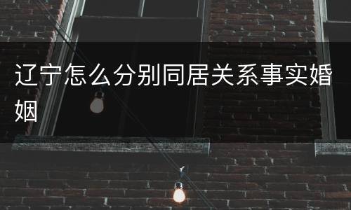 辽宁怎么分别同居关系事实婚姻