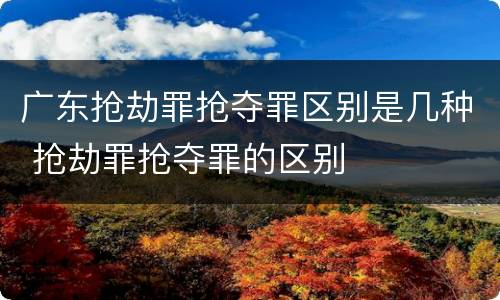 广东抢劫罪抢夺罪区别是几种 抢劫罪抢夺罪的区别