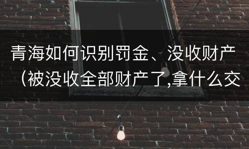 青海如何识别罚金、没收财产（被没收全部财产了,拿什么交罚金）