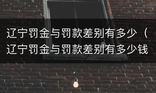 辽宁罚金与罚款差别有多少（辽宁罚金与罚款差别有多少钱）