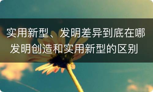 实用新型、发明差异到底在哪 发明创造和实用新型的区别