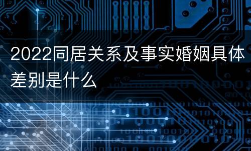 2022同居关系及事实婚姻具体差别是什么