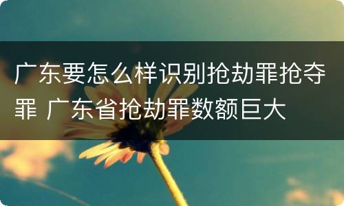 广东要怎么样识别抢劫罪抢夺罪 广东省抢劫罪数额巨大