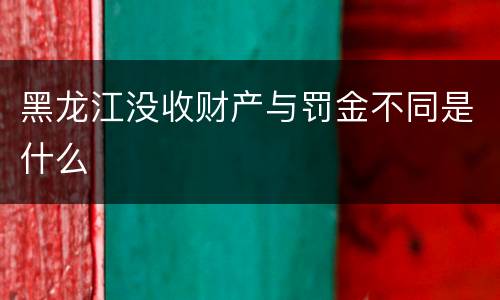 黑龙江没收财产与罚金不同是什么