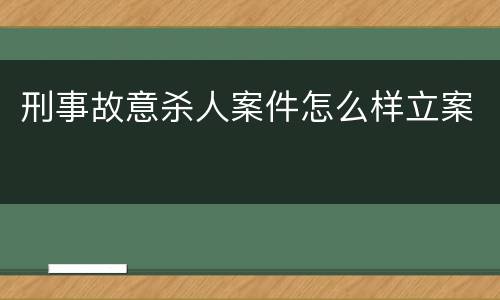 刑事故意杀人案件怎么样立案