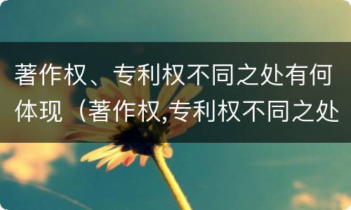 著作权、专利权不同之处有何体现（著作权,专利权不同之处有何体现）
