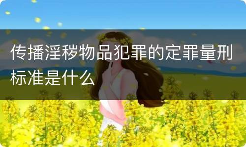 传播淫秽物品犯罪的定罪量刑标准是什么