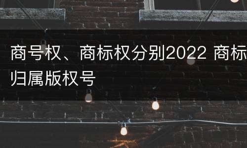 商号权、商标权分别2022 商标归属版权号