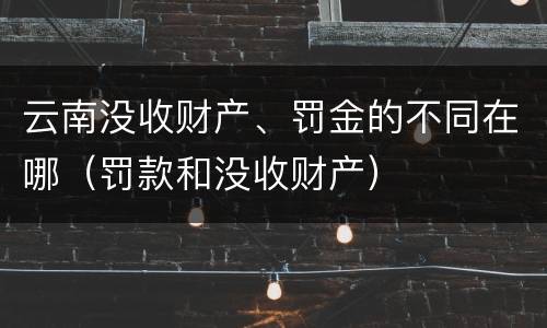 云南没收财产、罚金的不同在哪（罚款和没收财产）