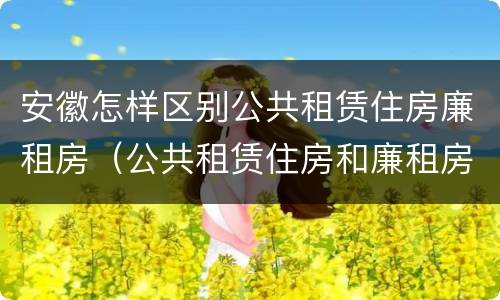 安徽怎样区别公共租赁住房廉租房（公共租赁住房和廉租房的区别）