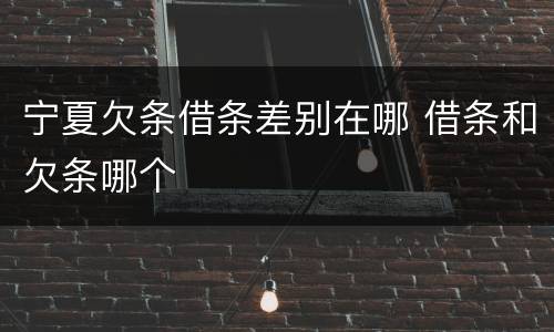 宁夏欠条借条差别在哪 借条和欠条哪个