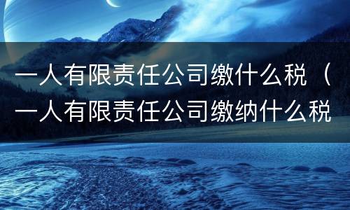 一人有限责任公司缴什么税（一人有限责任公司缴纳什么税）