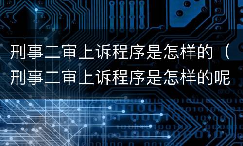 刑事二审上诉程序是怎样的（刑事二审上诉程序是怎样的呢）