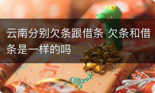 云南分别欠条跟借条 欠条和借条是一样的吗
