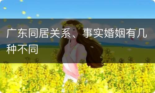 广东同居关系、事实婚姻有几种不同