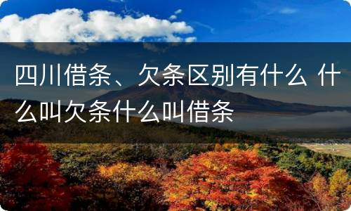 四川借条、欠条区别有什么 什么叫欠条什么叫借条