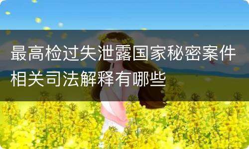 最高检过失泄露国家秘密案件相关司法解释有哪些