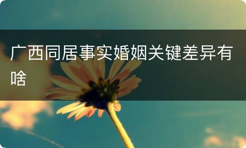 广西同居事实婚姻关键差异有啥