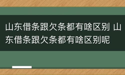 山东借条跟欠条都有啥区别 山东借条跟欠条都有啥区别呢