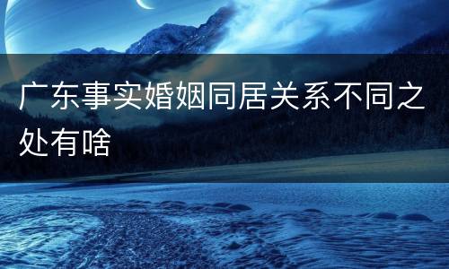 广东事实婚姻同居关系不同之处有啥