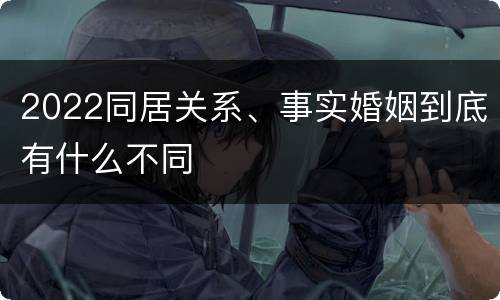 2022同居关系、事实婚姻到底有什么不同