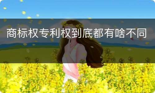 商标权专利权到底都有啥不同