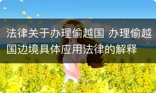 法律关于办理偷越国 办理偷越国边境具体应用法律的解释