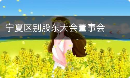 宁夏区别股东大会董事会