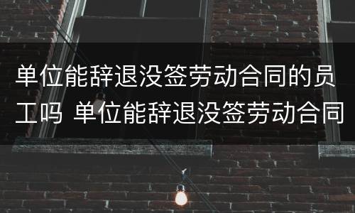 单位能辞退没签劳动合同的员工吗 单位能辞退没签劳动合同的员工吗