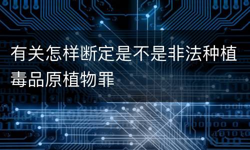 有关怎样断定是不是非法种植毒品原植物罪