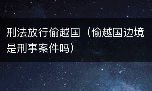 刑法放行偷越国（偷越国边境是刑事案件吗）