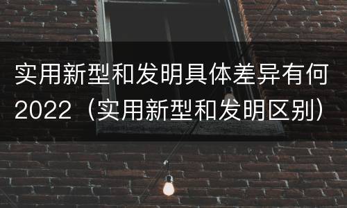 实用新型和发明具体差异有何2022（实用新型和发明区别）
