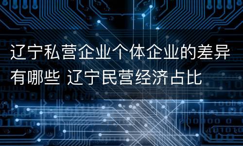 辽宁私营企业个体企业的差异有哪些 辽宁民营经济占比