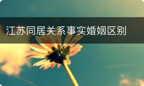 江苏同居关系事实婚姻区别