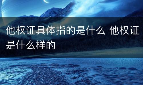 他权证具体指的是什么 他权证是什么样的