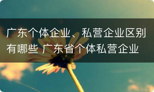 广东个体企业、私营企业区别有哪些 广东省个体私营企业
