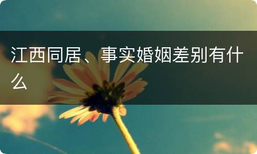 江西同居、事实婚姻差别有什么