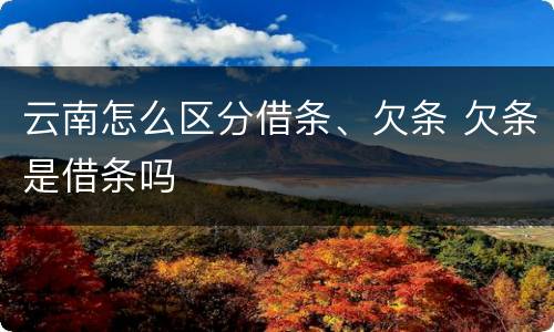 云南怎么区分借条、欠条 欠条是借条吗