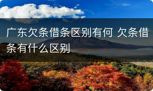 广东欠条借条区别有何 欠条借条有什么区别