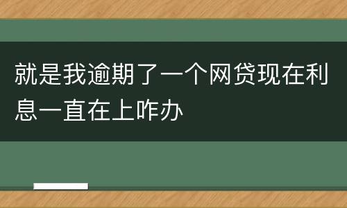 就是我逾期了一个网贷现在利息一直在上咋办