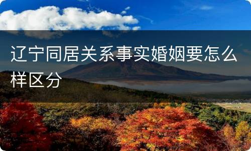 辽宁同居关系事实婚姻要怎么样区分