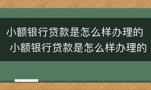 小额银行贷款是怎么样办理的 小额银行贷款是怎么样办理的手续